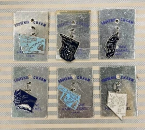 Vintage Cloisonné Hard Enamel State Charm Lot Of 6 MD, CA, OK, WA, MT, NV #3 - Picture 1 of 2