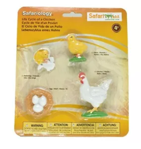 Chicken, Life Cycle, Realistic Toy Plastic Replica model set, Kids Gift F3684 - Picture 1 of 6