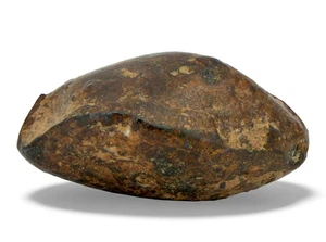 9.29g NWA 859 TAZA meteorite - Ungrouped Iron Meteorite I TOP METEORITE - Picture 1 of 7