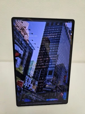 Samsung Galaxy Tab S9 Ultra SM-X910 256GB, WiFi, 14,6" - Schwarz  - Bild 1 von 4