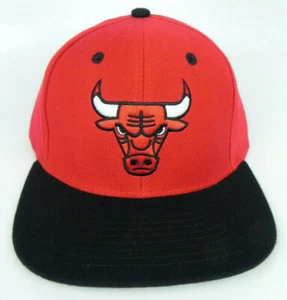 GORRA CHICAGO BULLS NBA DE COLECCIÓN ESTILO PLANO BILLETE SNAPBACK RETRO 2 TONOS SOMBRERO NUEVO! - Imagen 1 de 5
