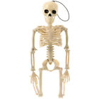 3 Pc Halloween Skeleton Metal Full Body Model Skull Crawler Hanging