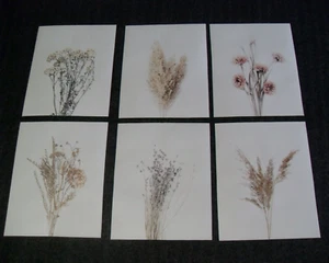 "NEU ~ 6ERer-Set ~ GETROCKNETE BLUMEN & GRAS ~ Canvas Kunst Poster Drucke 8"" x 10"" - Bild 1 von 8