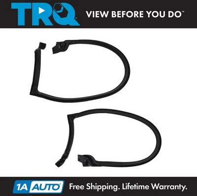 TRQ Roofrail Weatherstrip Seal Fits 1970-1981 Chevrolet Camaro Pontiac Firebird Foto 1 de 3