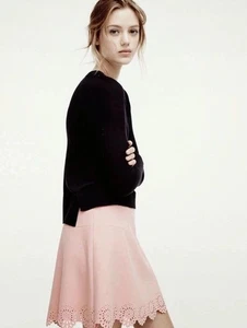 Ann Taylor Loft Size 8 Pink A-Line Scalloped Hem Lace Trim Skirt Lined Back Zip - Picture 1 of 7