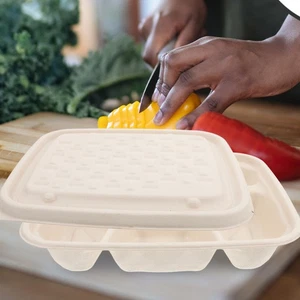 10 Pcs Clamshell Take Out Containers Compartment Plates - Picture 1 of 12