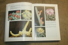 Fachbuch Kakteen, Kaktus, Sukkulenten, 500 Arten in Wort und Bild, DDR 1989