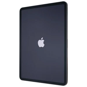 Apple iPad Pro 12.9 in. (4th Gen) Tablet (A2229) Wi-Fi Only - 256GB/Space Gray - Picture 1 of 3