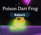 Neon Poison Dart Frog From Danger Egg, June 2023