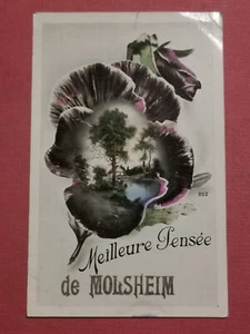 CPA 67 Meilleure Pensée de MOLSHEIM - Imagen 1 de 2