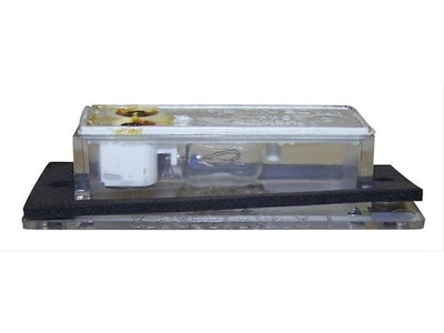 For 1984-1991 Jeep Grand Wagoneer License Light Crown 62182RVFF 1985 1986 1987 - Изображение 1 из 2