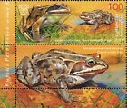 2019 Kyrgyzstan Fauna Reptiles and Amphibians Central Asiatic frog MNH