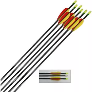 Petron 28" / 30" inch Fibreglass Archery Target Round End Arrows - Picture 1 of 9