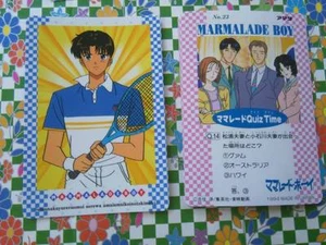 MARMALADE BOY HERO COLLECTION TRADING CARD LA FAMILIA CRECE AMADA 23 - Picture 1 of 1