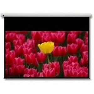 Pantalla de proyección Optoma DE-9106EGA 106" - Imagen 1 de 1