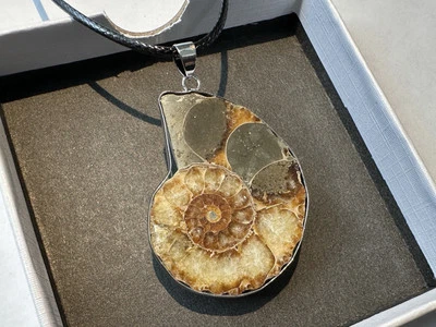 Collar colgante de plata de piedras preciosas fósiles de amonita genuino natural de colección Foto 1 de 4