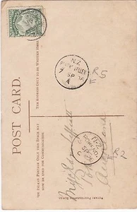 NZ RARE CLASS A R5 POSTMARK POKENO VALLEY FLAMOUR POSTCARD - Picture 1 of 2