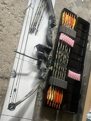 Juego de arco compuesto con flechas y estuche rígido Foto 1 de 4