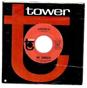 45RPM, SUNRAYS ' ANDREA , VG+ ' SURF ROCK - Picture 1 of 2