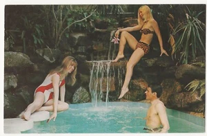 Vintage Postcard Snow Lake Lodge Vermont VT Japense Dream Pools - Picture 1 of 4