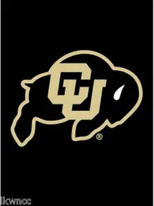 "EVERGREEN" COLARDO  UNIVERSITY   APPLIQUE  MINI GARDEN FLAG free shipping - Picture 1 of 1