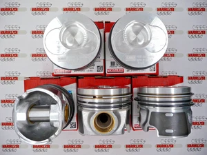 5X PISTONES + ANILLOS APTOS PARA VW CALIFORNIA MULTIVAN TRANSPORTER T5 2.5TDI BNZ +0.50MM - Imagen 1 de 7