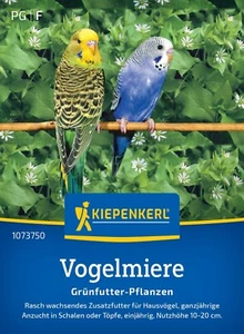 AVEJAS, semillas, alimento, aves alimento para aves mascotas - Imagen 1 de 2