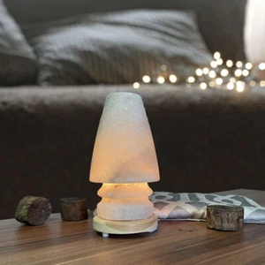 Lampenschirms Salzlampe auf Holzbeinen - Nachtlicht inkl. 1x10W + Kabel - Bild 1 von 6