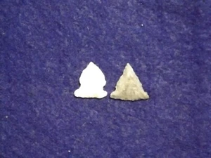 2 Authentic West Texas Bird Point Arrowheads Indian Artifacts FREE SHIPPING PR17 - Picture 1 of 3