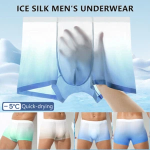 1/2/3 PCS Men Boxer Shorts Briefs Bulge Seamless Summer Ice Silk Sheer Underwear - Picture 1 of 30