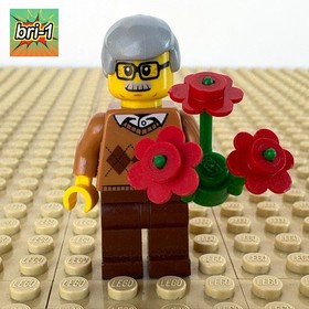 LEGO City, Recreation: Grandfather, FLOWERS, cty0659, 60134 FUN IN THE PARK 2016