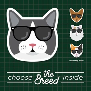 Assorted Hipster Cats Pet Vinyl Sticker Decal-Many more breeds inside waterproof - Picture 1 of 37