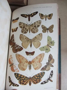 Transactions of Entomological Society of London, 1888-90 3 vols., col. plates - Picture 1 of 7