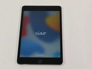 Apple iPad Mini 4th Gen A1538 128 GB iOS 15.8.4 (WiFi Only) - Picture 1 of 7