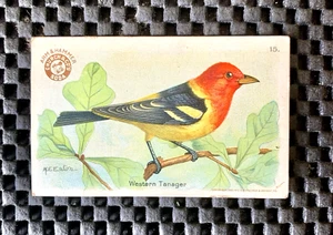 ARM & HAMMER NÜTZLICHE BIRDS OF AMERICA DRITTE SERIE WESTERN TANAGER # 15 - Bild 1 von 2