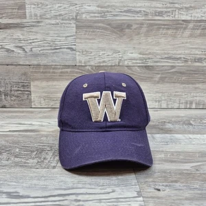 Washington Huskies NCAA Football Hat Cap Adult Mens Fitted Size 7 5/8 - Picture 1 of 6