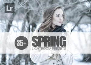 35+Spring vol 2 Lightroom Presets - Picture 1 of 5