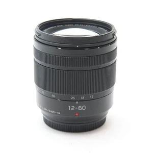 Panasonic Lumix G VARIO 12-60mm F/3.5-5.6 ASPH. POWER O.I.S (M4/3) #360 - Picture 1 of 12