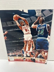Dennis Rodman, Chicago Bulls Color 8x10 Photo. Free Shipping!! - Picture 1 of 2