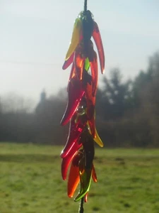 chillis in glass to hang in kitchen etc. 24 chillis beautiful gift keyrings too. - Picture 1 of 26