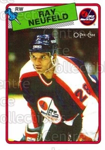 1988-89 O-Pee-Chee #239 Ray Neufeld - Picture 1 of 1