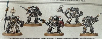 Warhammer 40k Caballeros Grises Hermandad Terminator Escuadrón Paladines (5) Nuevo de Lote Antiguo Foto 1 de 2