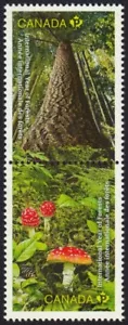 MUSHROOMS = FOREST FLOOR = Se-tenant pair from Souvenir Sh Canada 2011 #2461 MNH - Picture 1 of 1