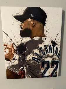 SANDY ALCANTARA Custom 16x20 Signed In Person Canvas (Paint Style) JSA COA - Picture 1 of 11