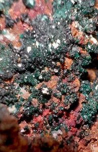 Paratacamita - Imagen 1 de 7