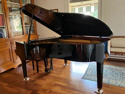 pianoforte a coda usato Petrof - Immagine 1 di 3