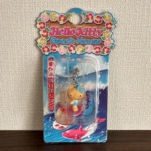 Gebräunt Hello Kitty Surfen Vintage Schlüsselanhänger Reißverschluss Maskottchen SANRIO Gotochi #847 - Bild 1 von 11