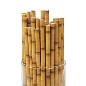 Paper Bamboo Design Straws Pack of 24 Hawaiian Luau Jungle Party Supplies - Picture 1 of 1
