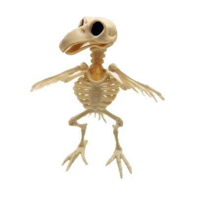 Halloween Decoration Animal Skeleton Bone Props Party Creepy Bird Crow Raven - Image 1 of 4