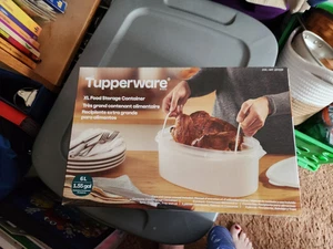 Contenedor de almacenamiento de alimentos Tupperware XL 1,55 galones/6 L - Imagen 1 de 1